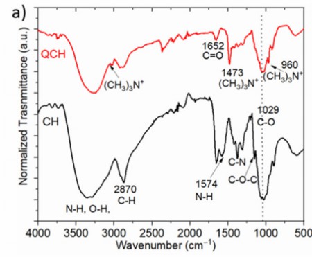 Application of Chitosan Quaternary Ammonium Salt as an Antimicrobial Agent in Polylactic Acid (PLA)-Based Food Packaging Materials-Case Study